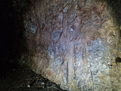 Grenlandstunnelen sitt lavbrekk (laveste punkt) ligger på kote -6 meter, altså under havnivå. Dette punktet er i Skjelsvikdalen. Foto: Jony Moen